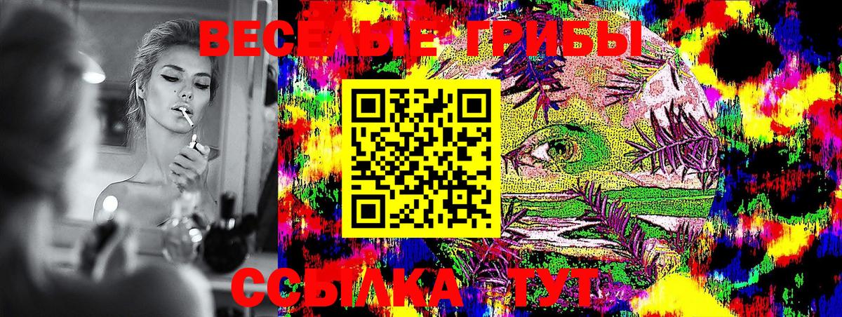 Королёв  Галлюциногенные грибы Magic Shrooms  Вход с VPN 