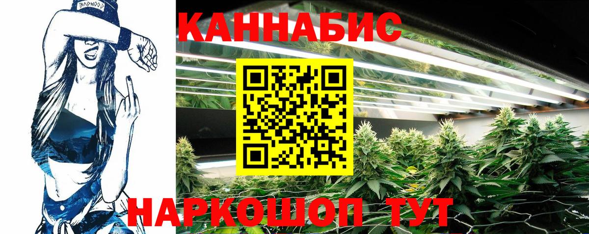 Королёв  Бошки марихуана ГИДРОПОН  МАРИХУАНА гибрид  Канабис OG Kush  Вход с VPN 